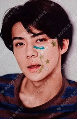 2016 S.M.ARTIST SEASON'S GREETING EXO GLOBAL Ver.