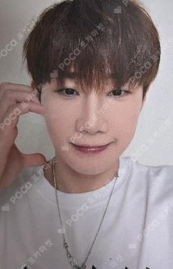 LIKE INFINITE EVERLINE KimSungKyu photocard image
