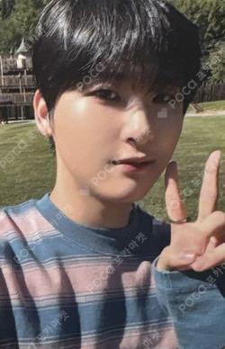 Jelly Bean Standard Edition WOOBIN photocard image