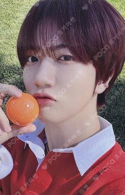 Jelly Bean Standard Edition WONJIN photocard image