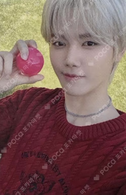 Jelly Bean Standard Edition