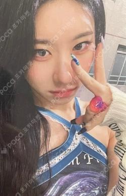 CHESHIRE BANDINA LUCKY DRAW CHAERYEONG photocard image