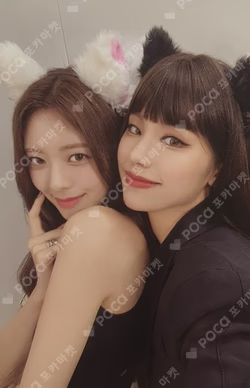 CHESHIRE STANDARD EDITION