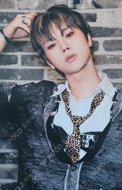 Beautiful Mind Platform Album Nemo ver. Fallen Ver. Jungsu photocard image