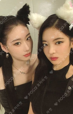 CHESHIRE STANDARD EDITION