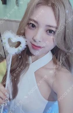 CHESHIRE SPECIAL EDITION