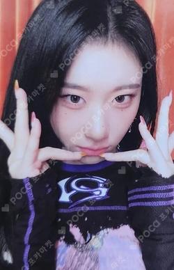 CHESHIRE LIMITED EDITION CHAERYEONG photocard image