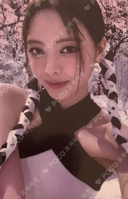 CHESHIRE SPECIAL EDITION