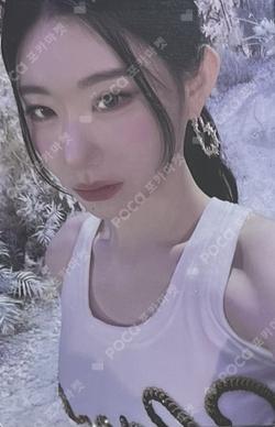 CHESHIRE SPECIAL EDITION CHAERYEONG photocard image
