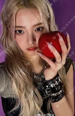 RINGO Standard Edition