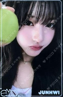 Say Hello to SAY MY NAME Random Trading Card