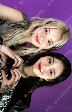 RINGO Limited Edition A