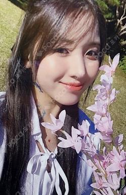 expérgo StarRiver JIWOO photocard image