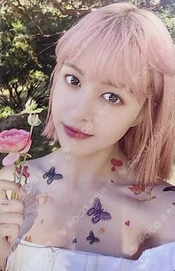 expérgo StarRiver Lily photocard image