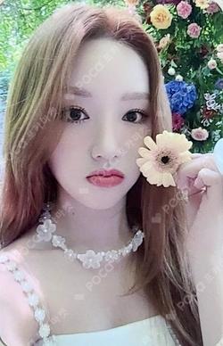 Summer Special [Flip That] SOUND WAVE Go Won photocard image