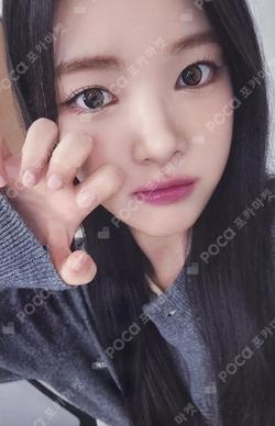 The Chase MUSICART YUHA photocard image