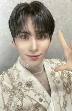 LOVE RACE DEAR MY MUSE YOO TAEYANG photocard image