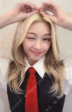 SWICY EVERLINE GEHLEE photocard image