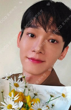 DOOR Stack Ver. CHEN  photocard image