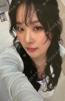 Accidentally On Purpose A.O.P. Car Ver.