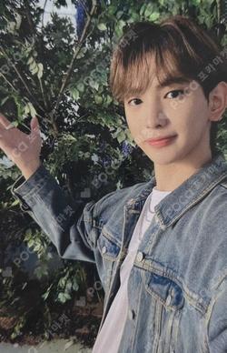 SHINING UP Sunlight ver. LEW photocard image