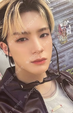 DREAMSCAPE Walmart Exclusive