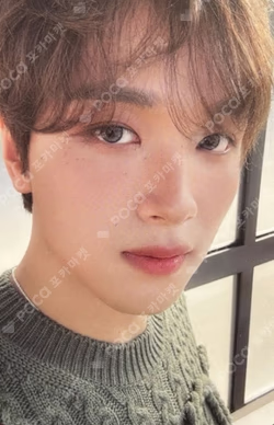 DREAMSCAPE Walmart Exclusive