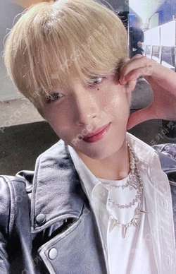 TRICKSTER DEAR MY MUSE