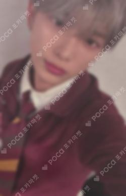Go in Blind SHOWCASE HARUA photocard image