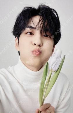 WONPIL SOLO CONCERT ‘Pilmography’ Pilmography COLLECT BOOK & PHOTOCARD SET WONPIL photocard image