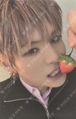 PLEASURE WEVERSE YOSHI photocard image