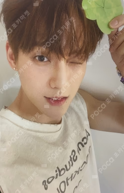 WIND AND WISH APPLEMUSIC