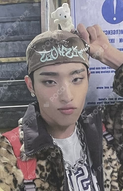 HARMONY : SET IN DEAR MY MUZE