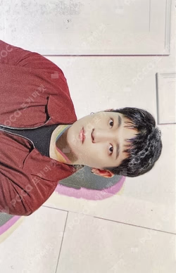 DAY6 WORLD TOUR GRAVITY PHOTO CARD SET SUNGJIN photocard image
