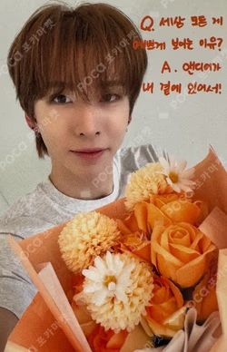 WILD&FREE APPLEMUSIC