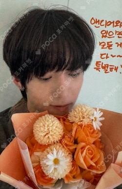 WILD&FREE APPLEMUSIC