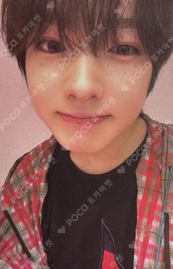 Steady KMS SAKUYA photocard image