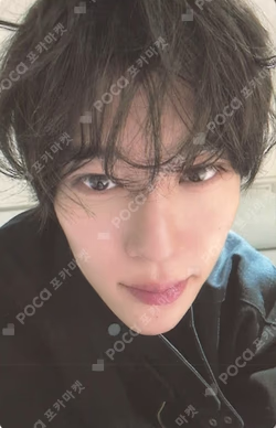Steady KMS SION photocard image