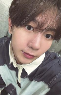 Steady KMS RYO photocard image