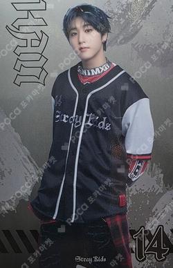 Stray Kids World Tour dominATE JAPAN POPUP STORE RANDOM PHOTO CARD HAN photocard image