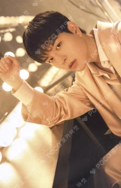 Stray Kids World Tour dominATE JAPAN RANDOM FORTUNE CARD