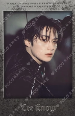 Stray Kids World Tour dominATE JAPAN POPUP STORE Photo card Set