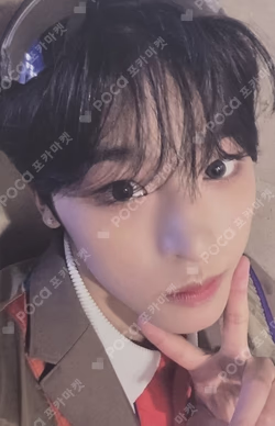 Songbird SMini Ver. KMS