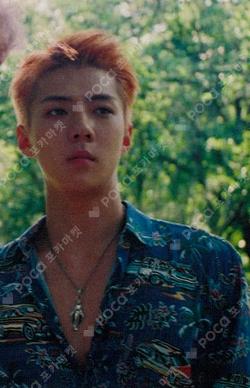 THE WAR Private Ver. SMTOWN MUSEUM SEHUN photocard image