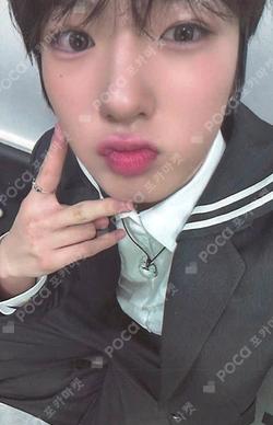 Steady KMS SAKUYA photocard image