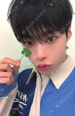 RE: Full of Youth WITHMUU HANBIN photocard image