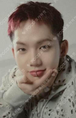 SHIONLE CHOI HYUN SUK photocard image