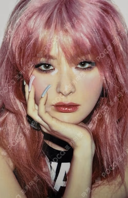 Accidentally On Purpose KNEE SOCKS SET SEULGI photocard image