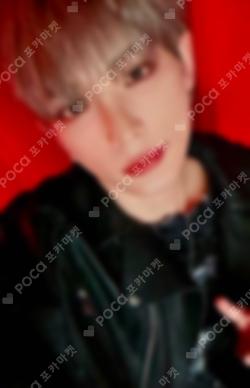2025 &TEAM CONCERT TOUR [AWAKEN THE BLOODLINE] PHOTO CARD HARUA photocard image