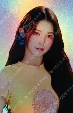 The Chase POSTCARD + HOLOGRAM PHOTO CARD SET